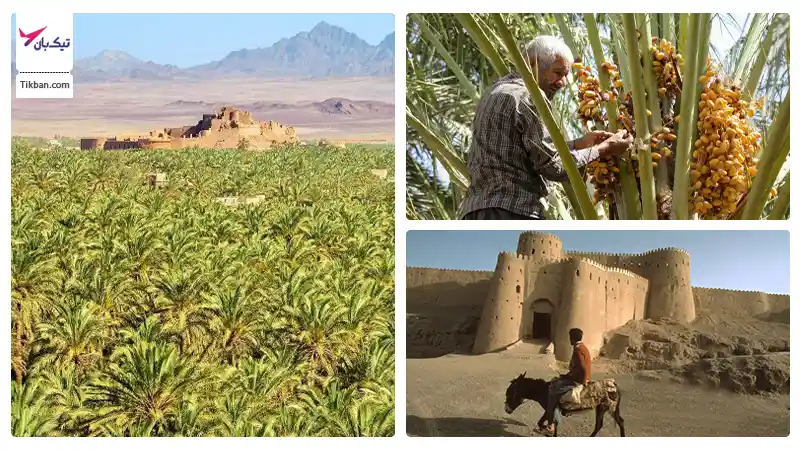 بلیط هواپیما رشت بم